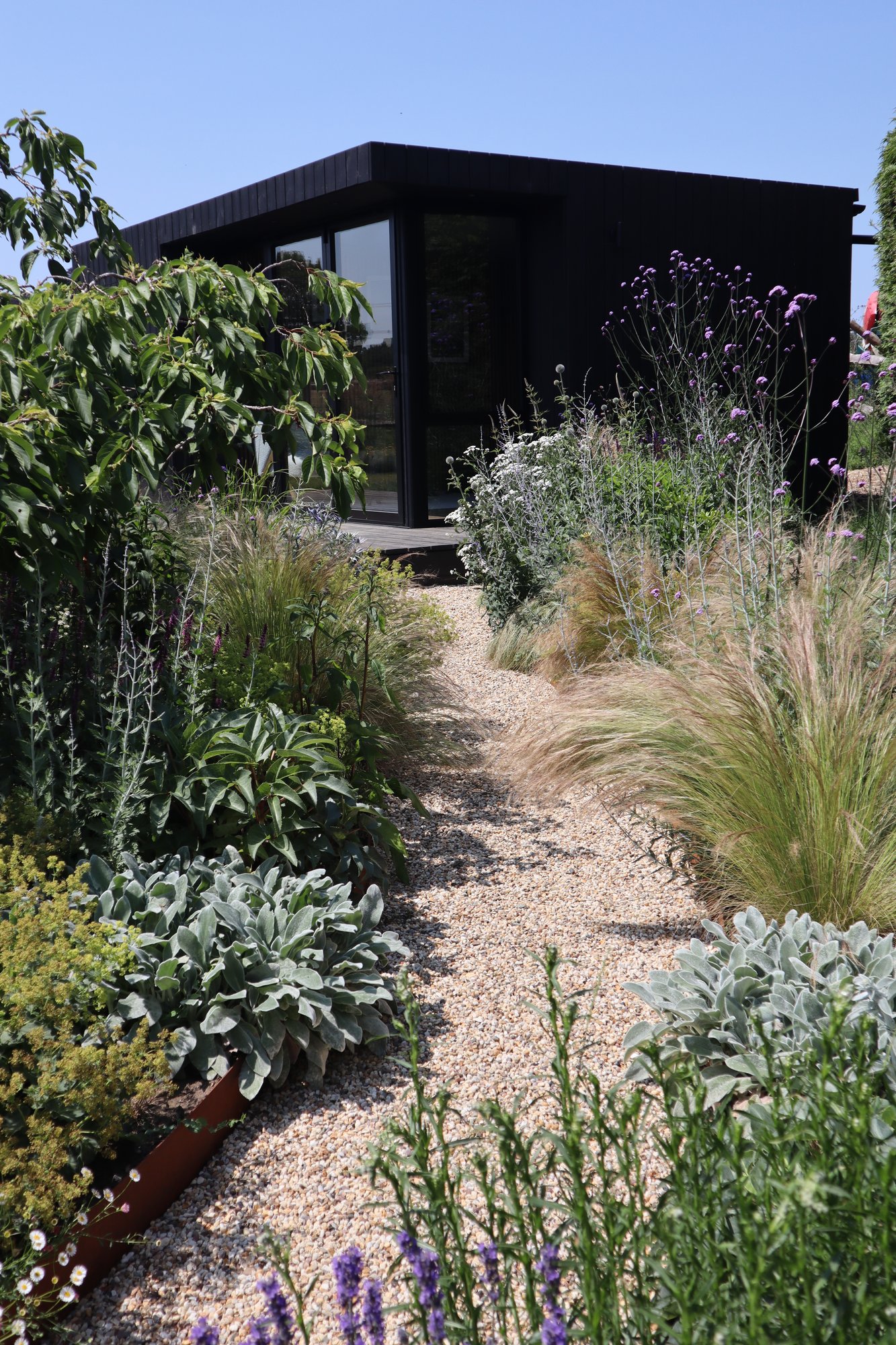 Rhize Design — garden by Annabelle Hodd